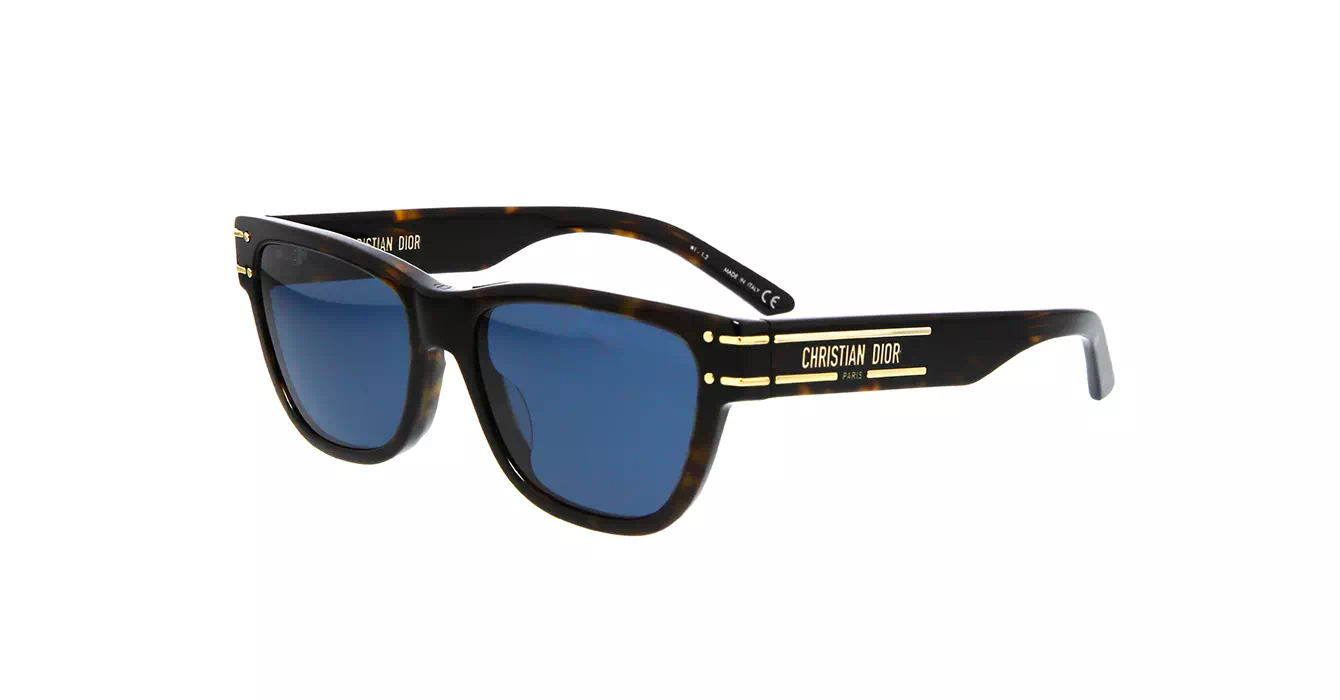 Dior Signature S6U CD40074U 20B0 s54