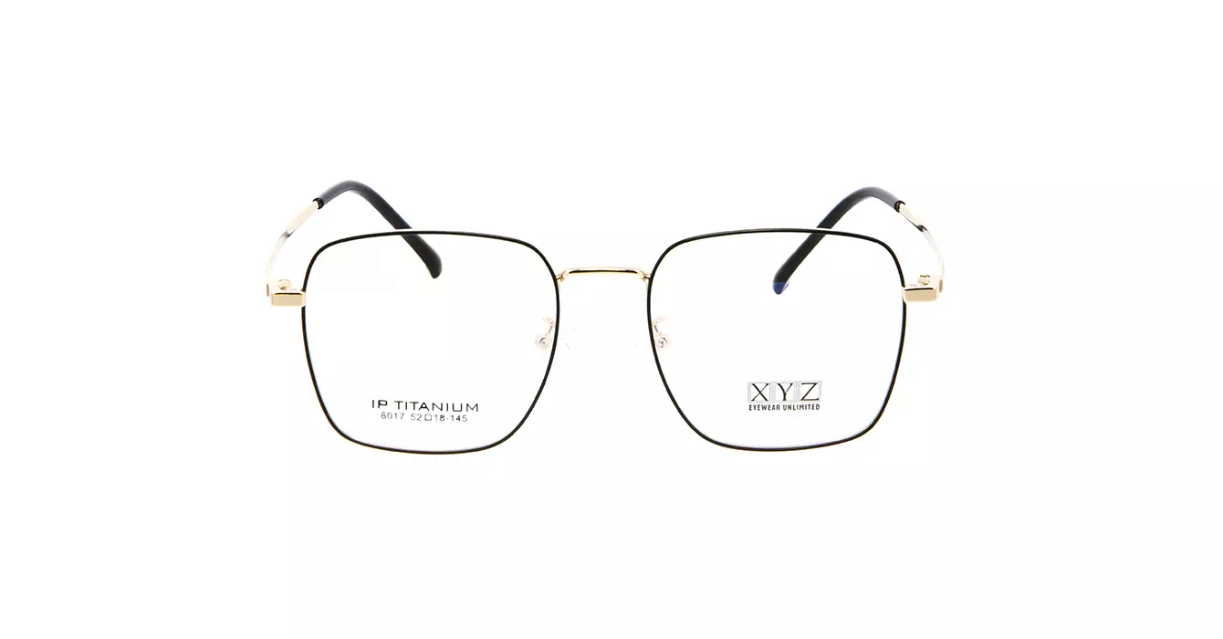 XYZ 6017 C3 s52