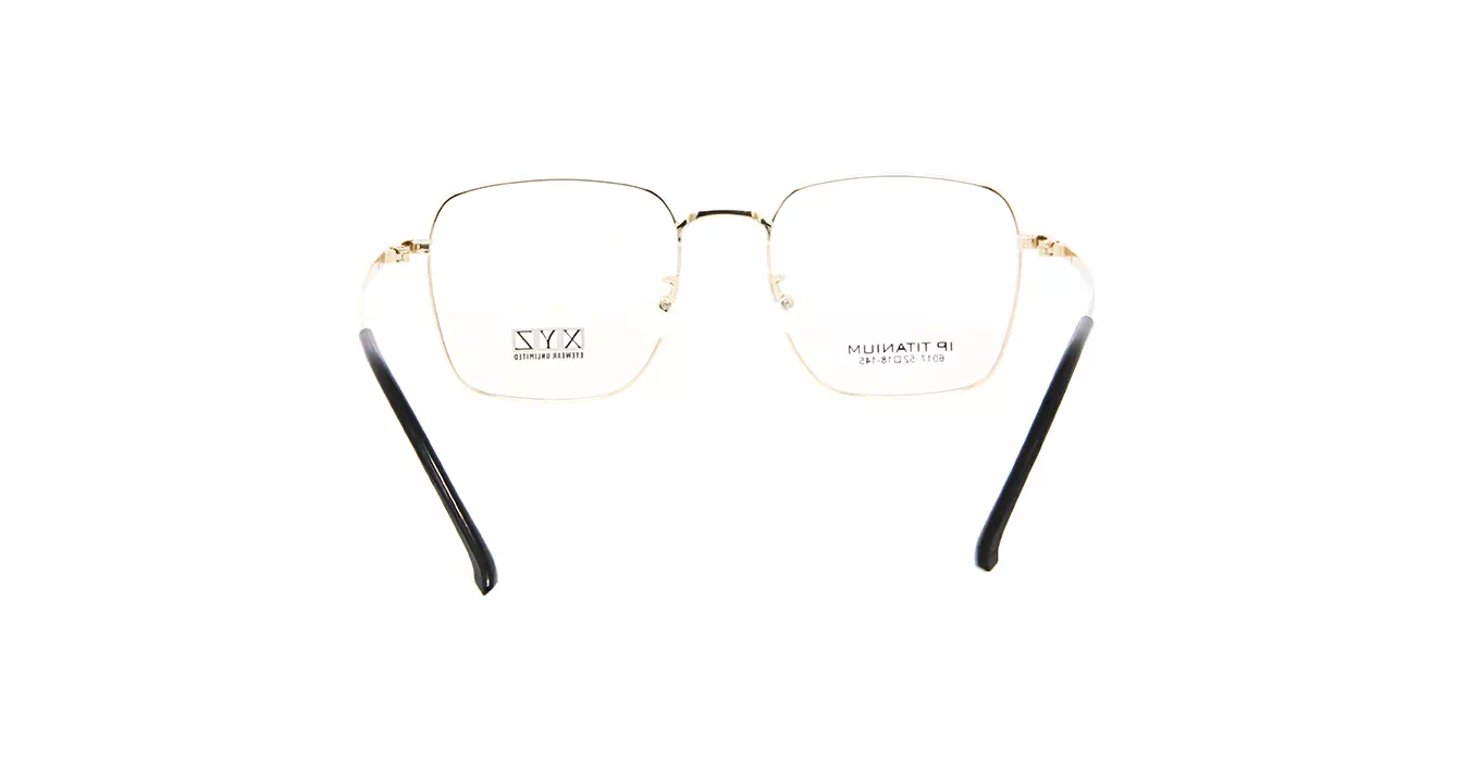 XYZ 6017 C3 s52