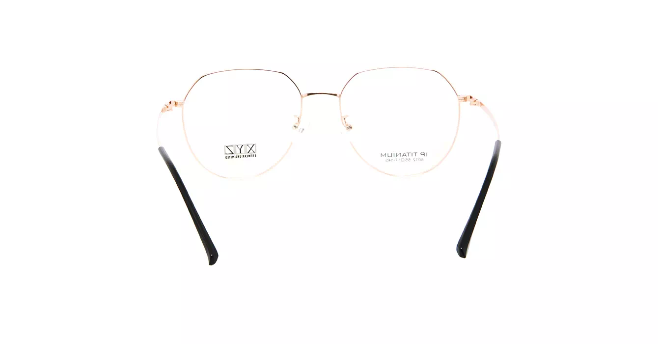 XYZ 6012 C3 s55