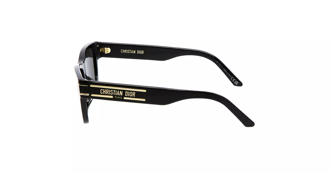 Dior Signature S6U CD40074U 10A0 s54