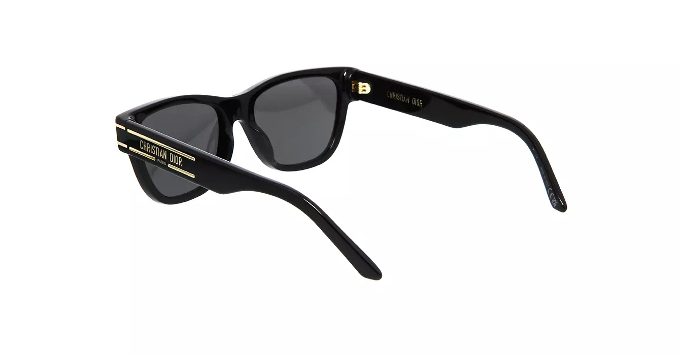 Dior Signature S6U CD40074U 10A0 s54