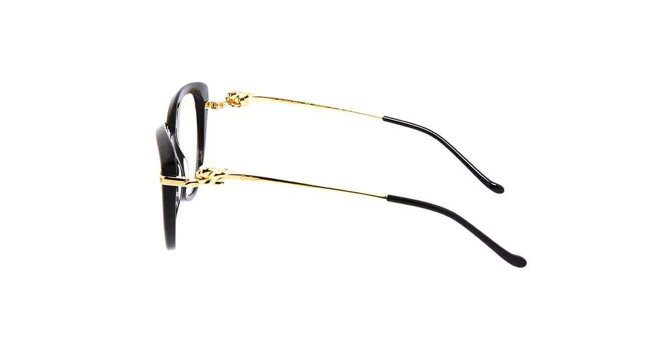 Cartier CT0283S 001 s54
