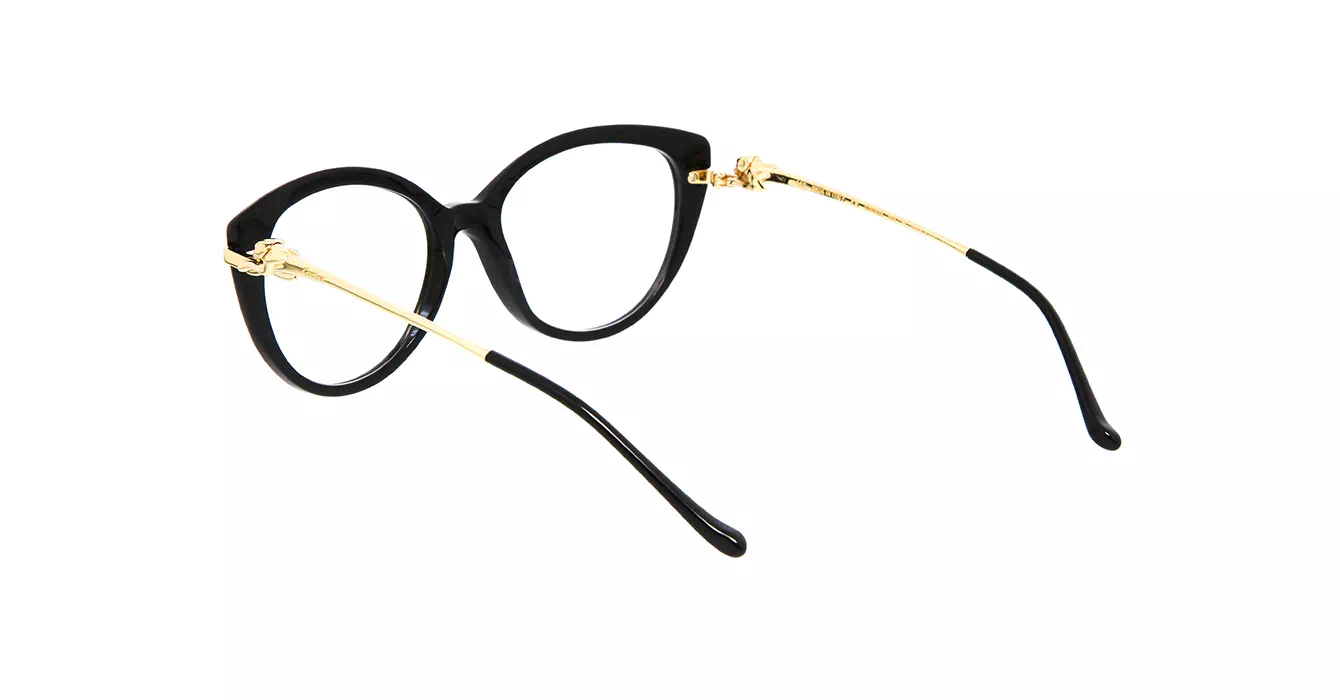Cartier CT0283S 001 s54