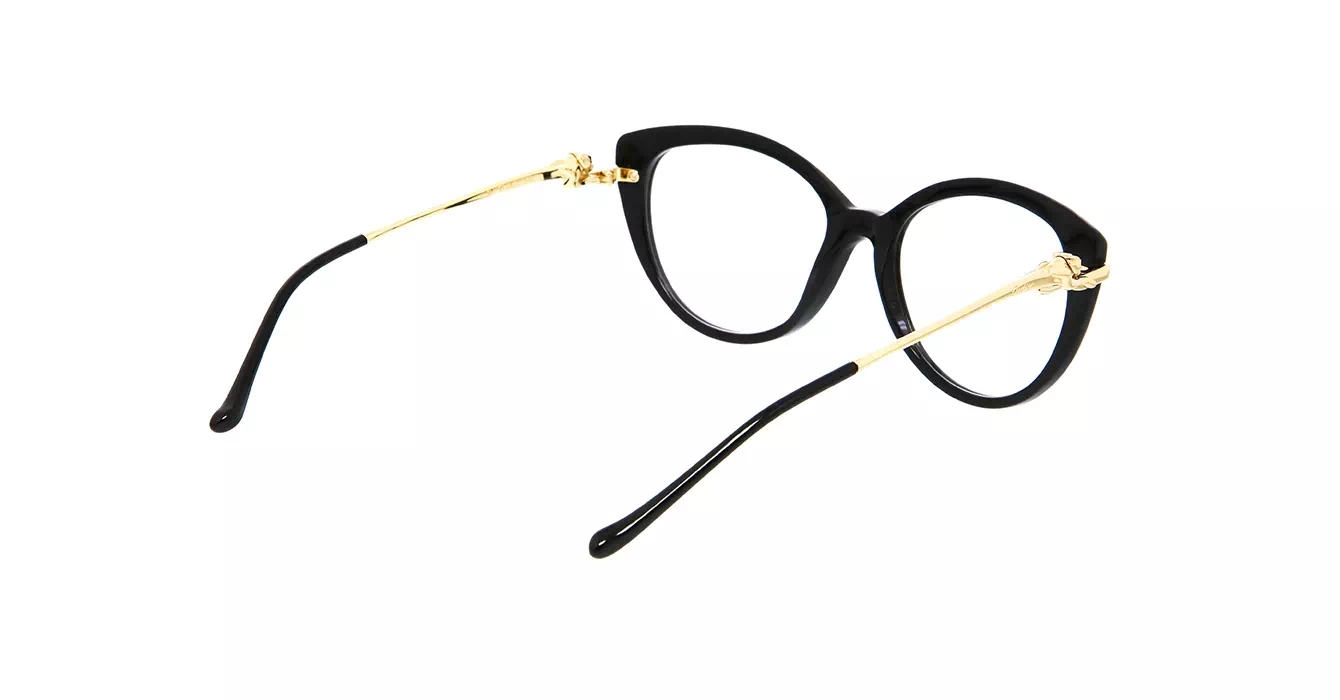Cartier CT0283S 001 s54