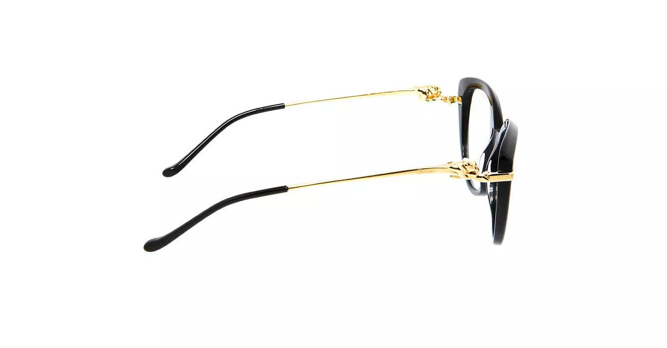 Cartier CT0283S 001 s54