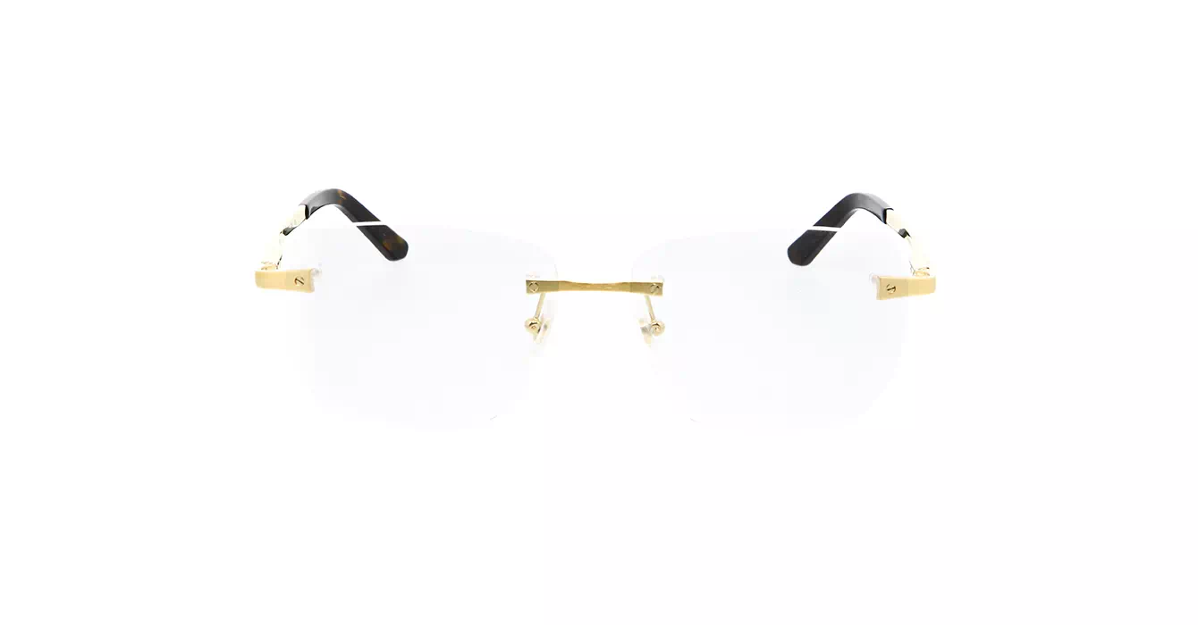 Cartier CT0336O 001 s58