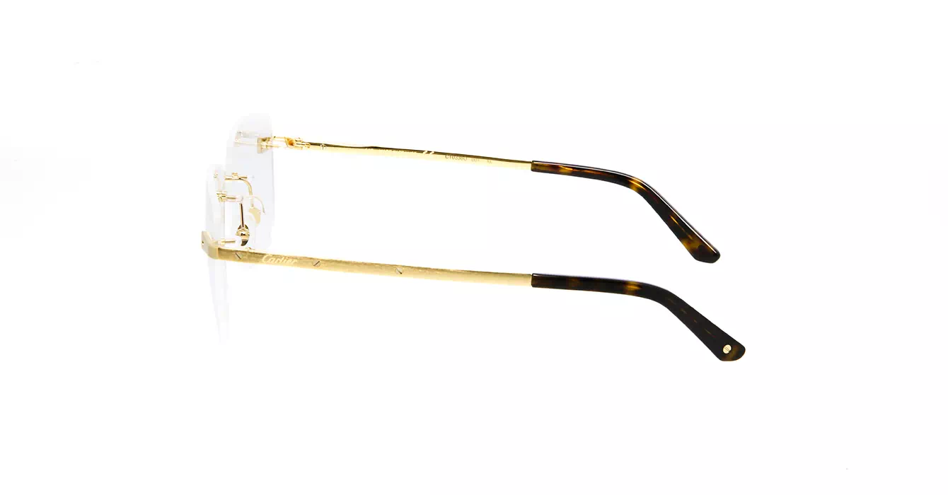 Cartier CT0336O 001 s58