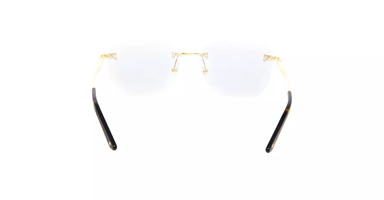 Cartier CT0336O 001 s58