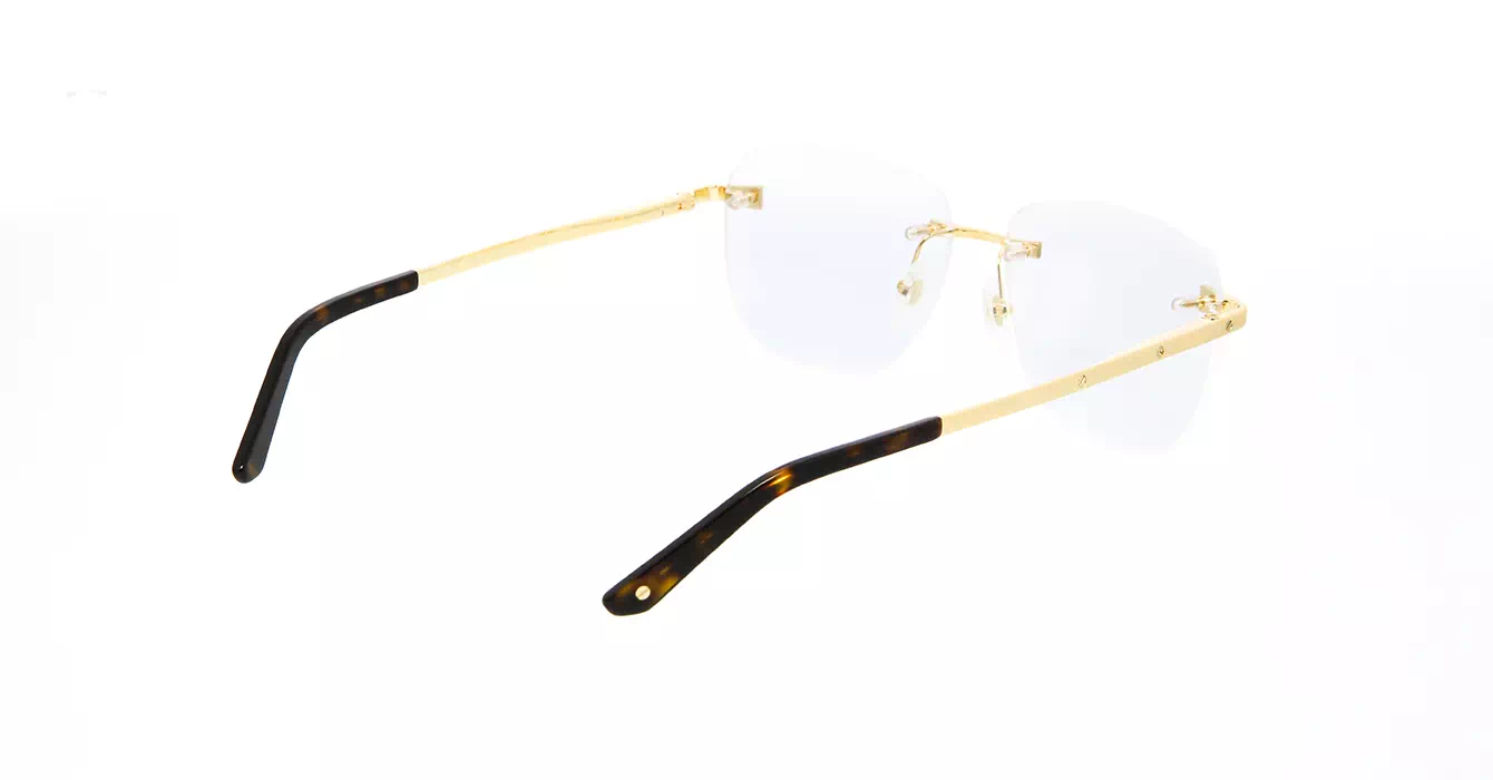 Cartier CT0336O 001 s58