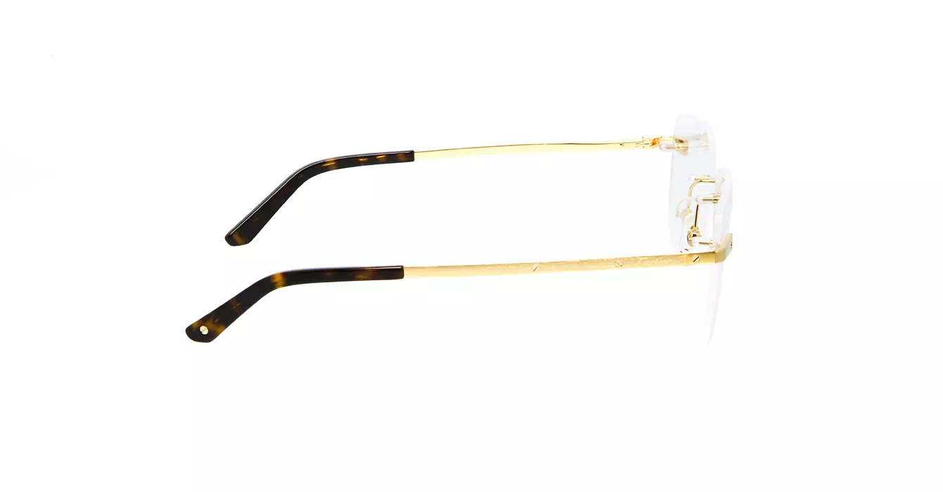 Cartier CT0336O 001 s58