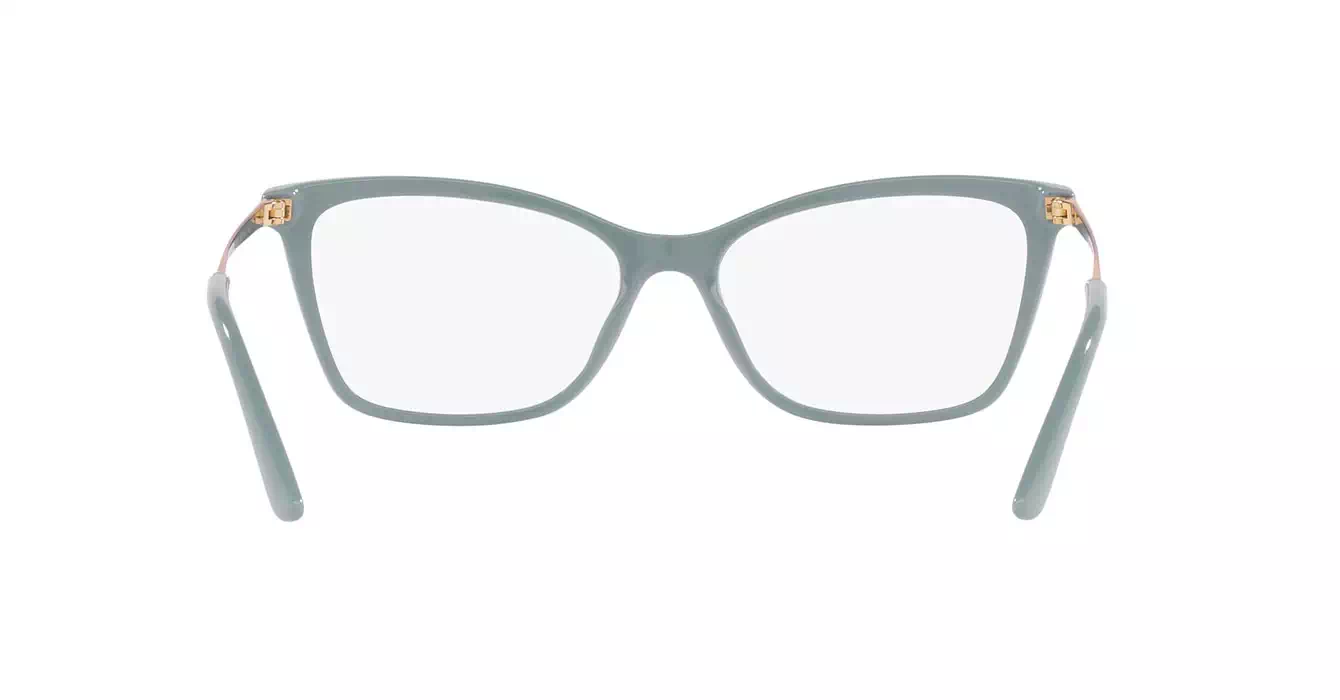 Dolce & Gabbana 3347-F 3346 s56