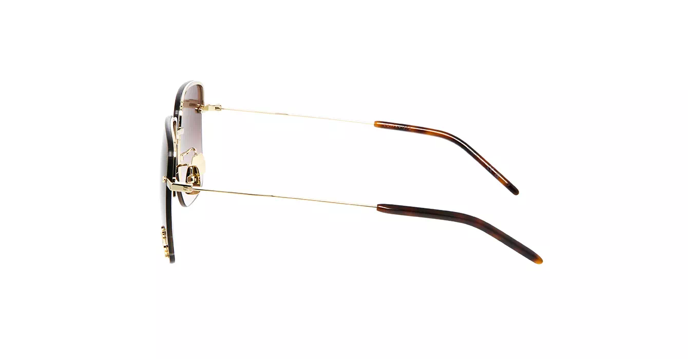 Saint Laurent SL 312 M 008 s58
