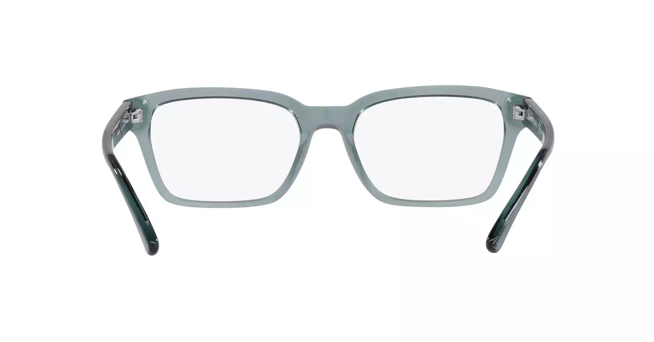 Emporio Armani EA3192F 5911 s55