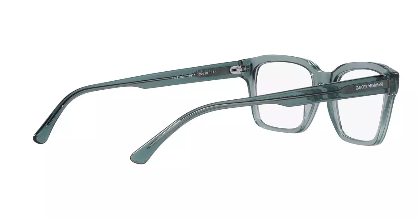 Emporio Armani EA3192F 5911 s55
