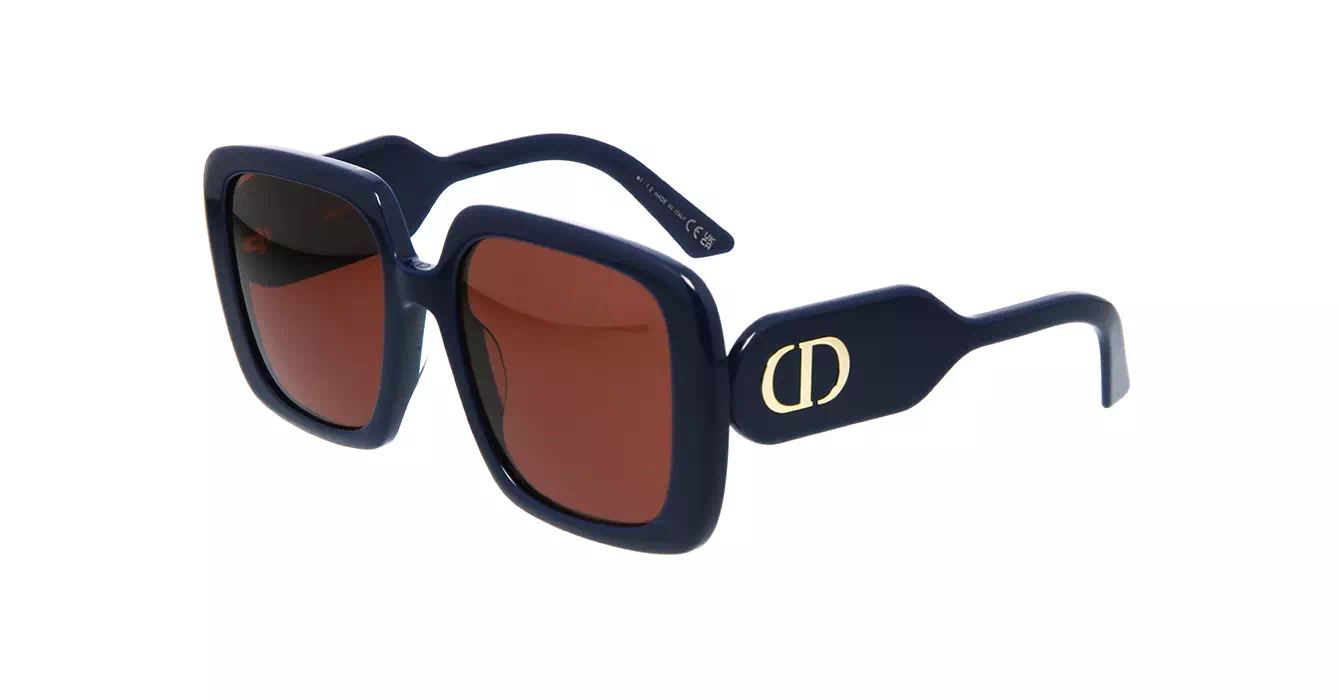 Dior Bobby S2U CD40085U 30D0 s55