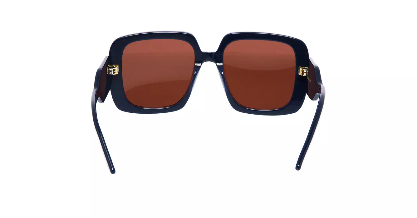 Dior Bobby S2U CD40085U 30D0 s55