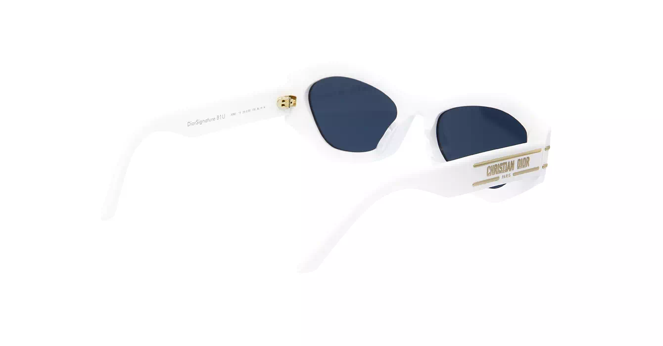 Dior Signature B1U CD40058U 50B0 s55