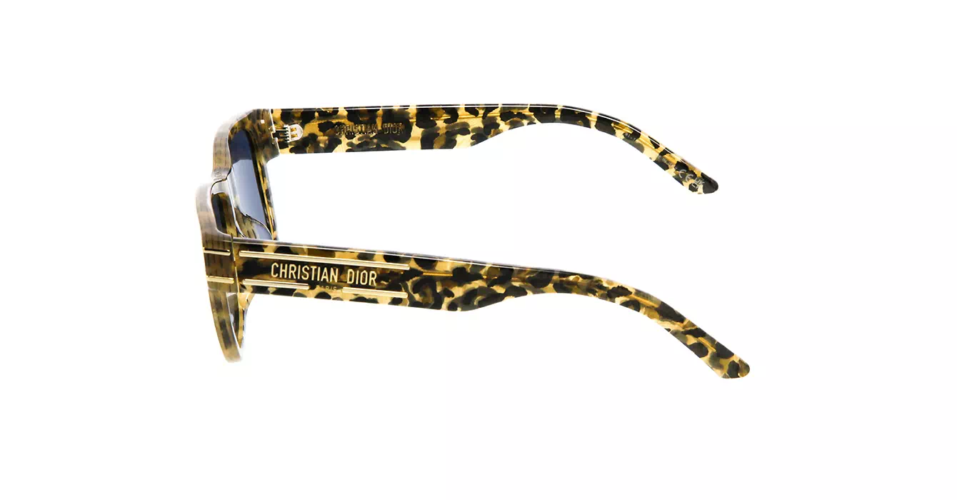Dior Signature S6U CD40074U 69B0 s54