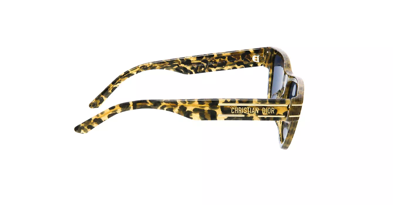Dior Signature S6U CD40074U 69B0 s54