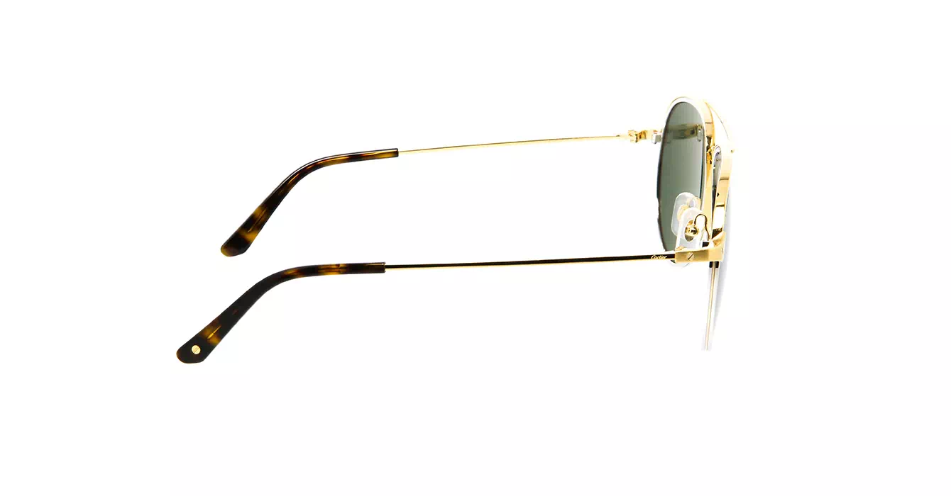 Cartier CT0325S 006 s59