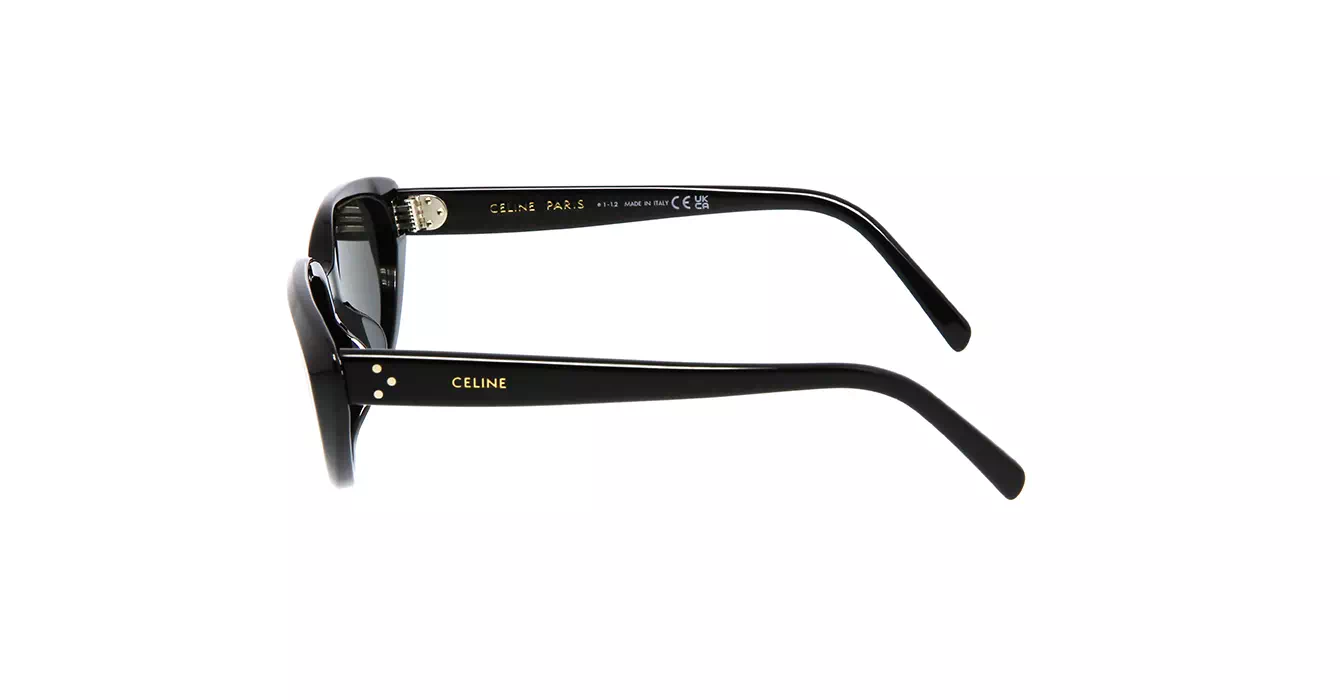 Celine CL40220U 01A s55