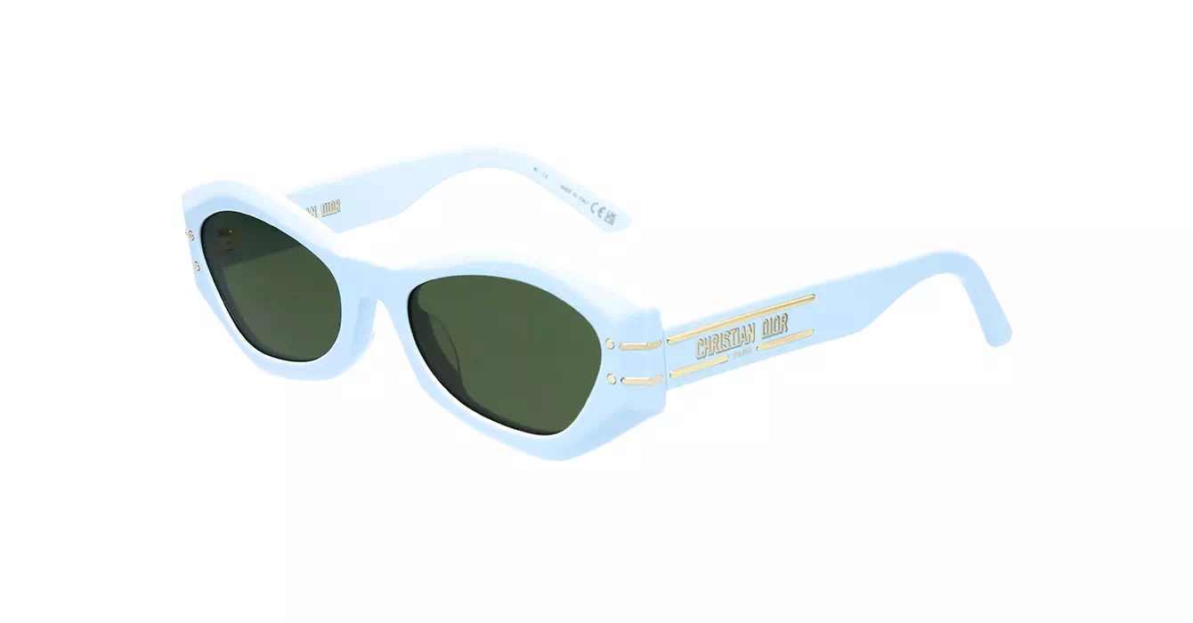 Dior Signature B1U CD40058U 80C0 s55