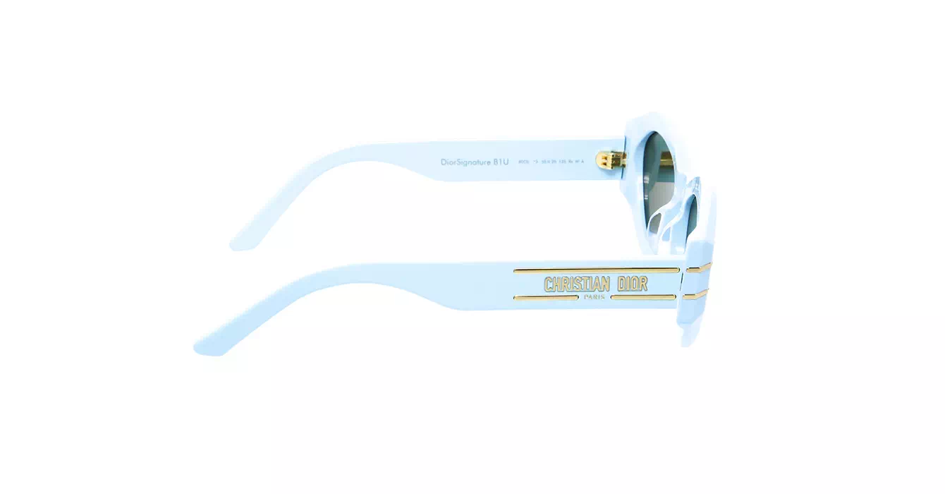 Dior Signature B1U CD40058U 80C0 s55