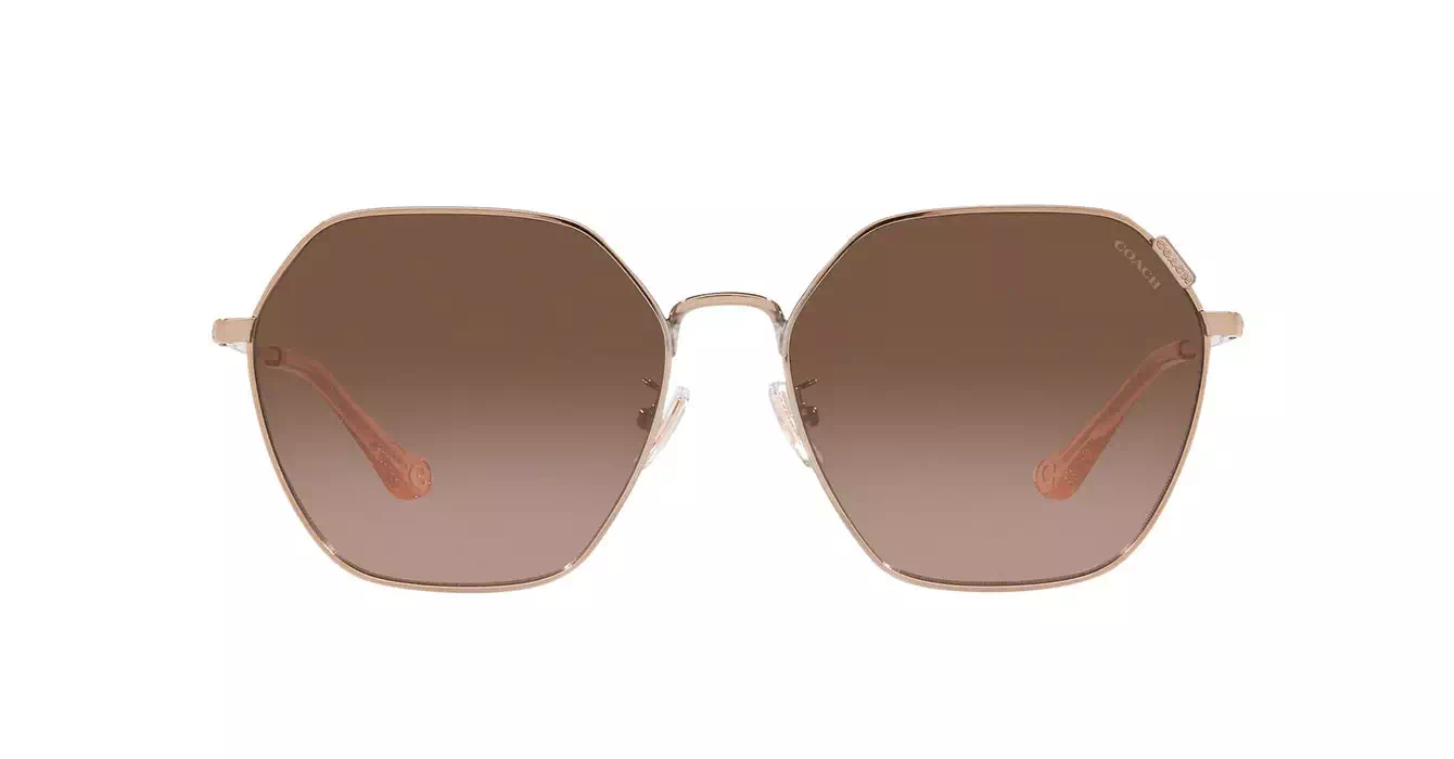 Coach HC7132 9331/5M s58