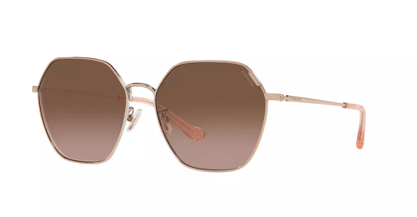 Coach HC7132 9331/5M s58