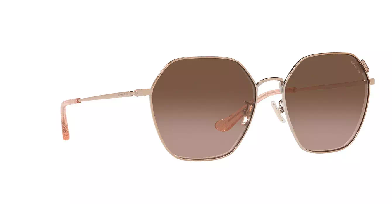 Coach HC7132 9331/5M s58