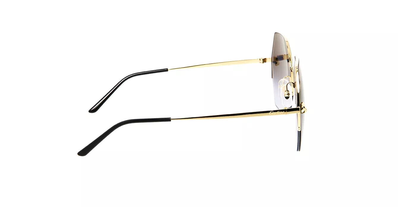 Cartier CT0332S 001 s62