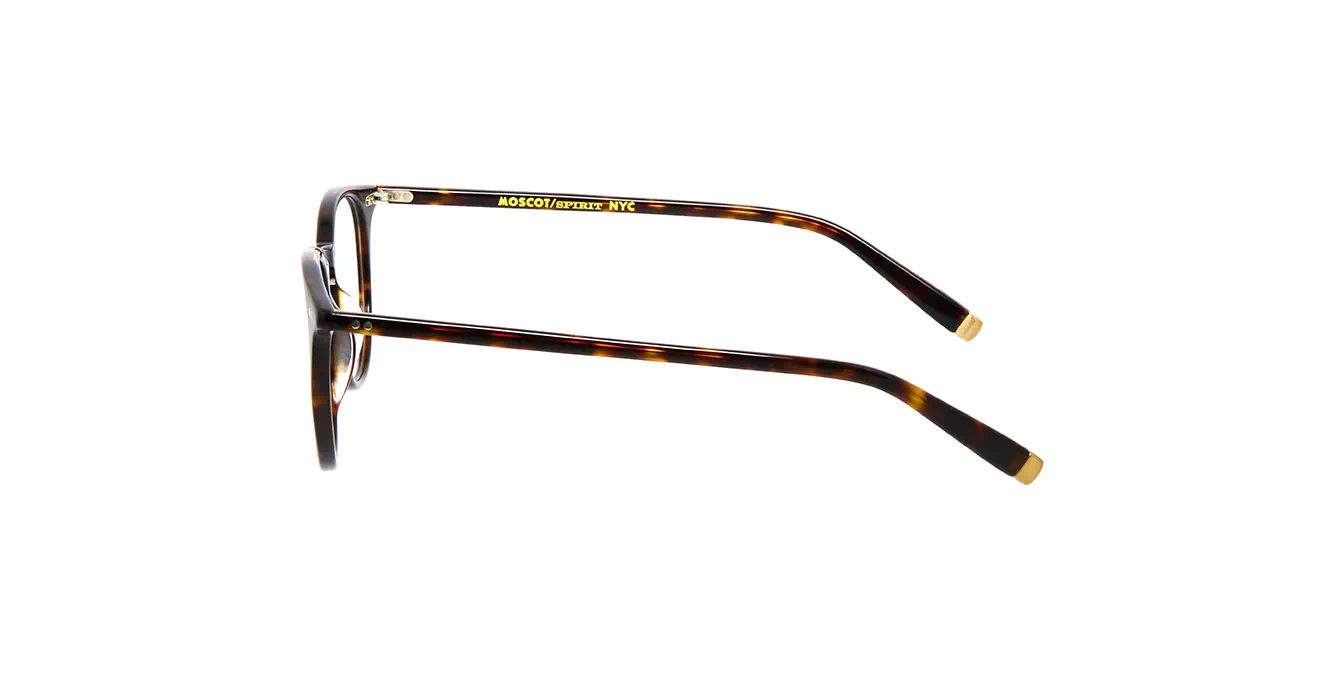 Moscot Jared Tortoise s47