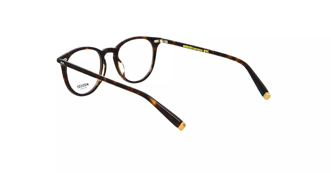 Moscot Jared Tortoise s47