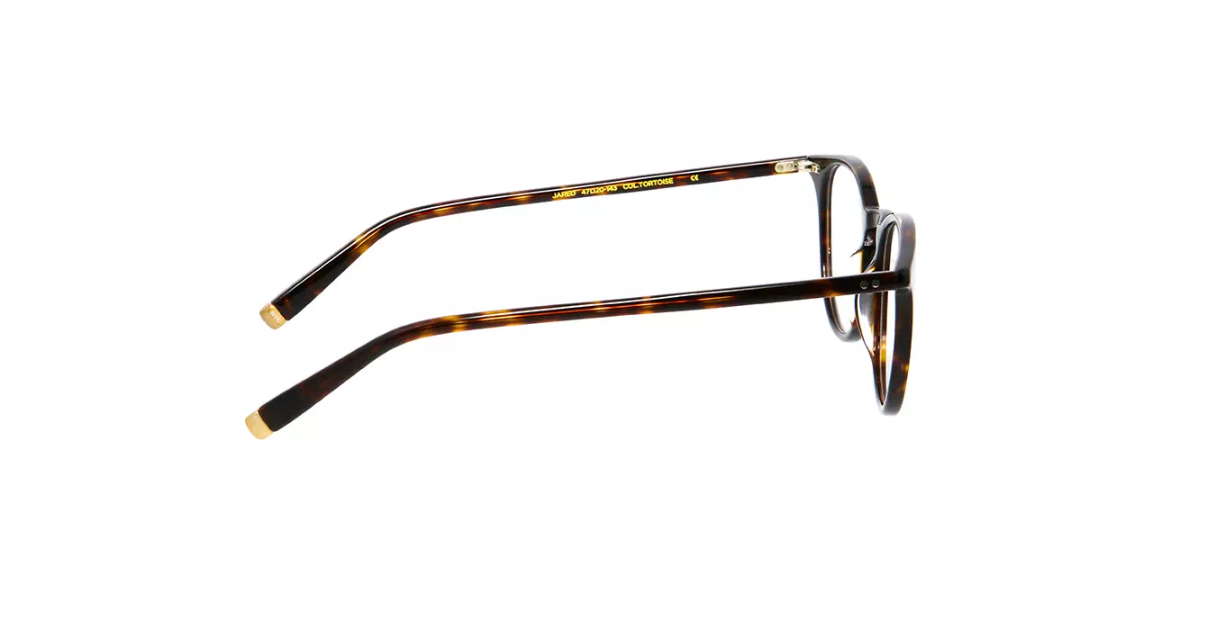 Moscot Jared Tortoise s47