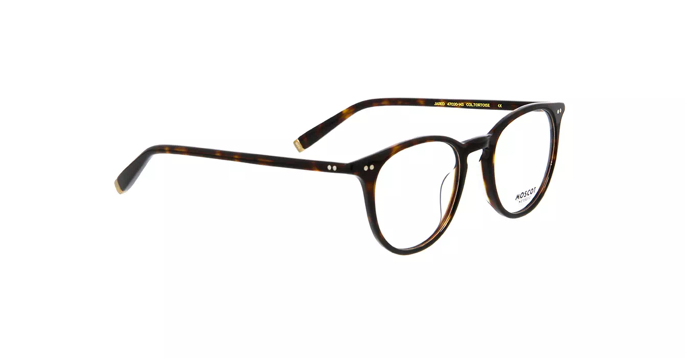 Moscot Jared Tortoise s47