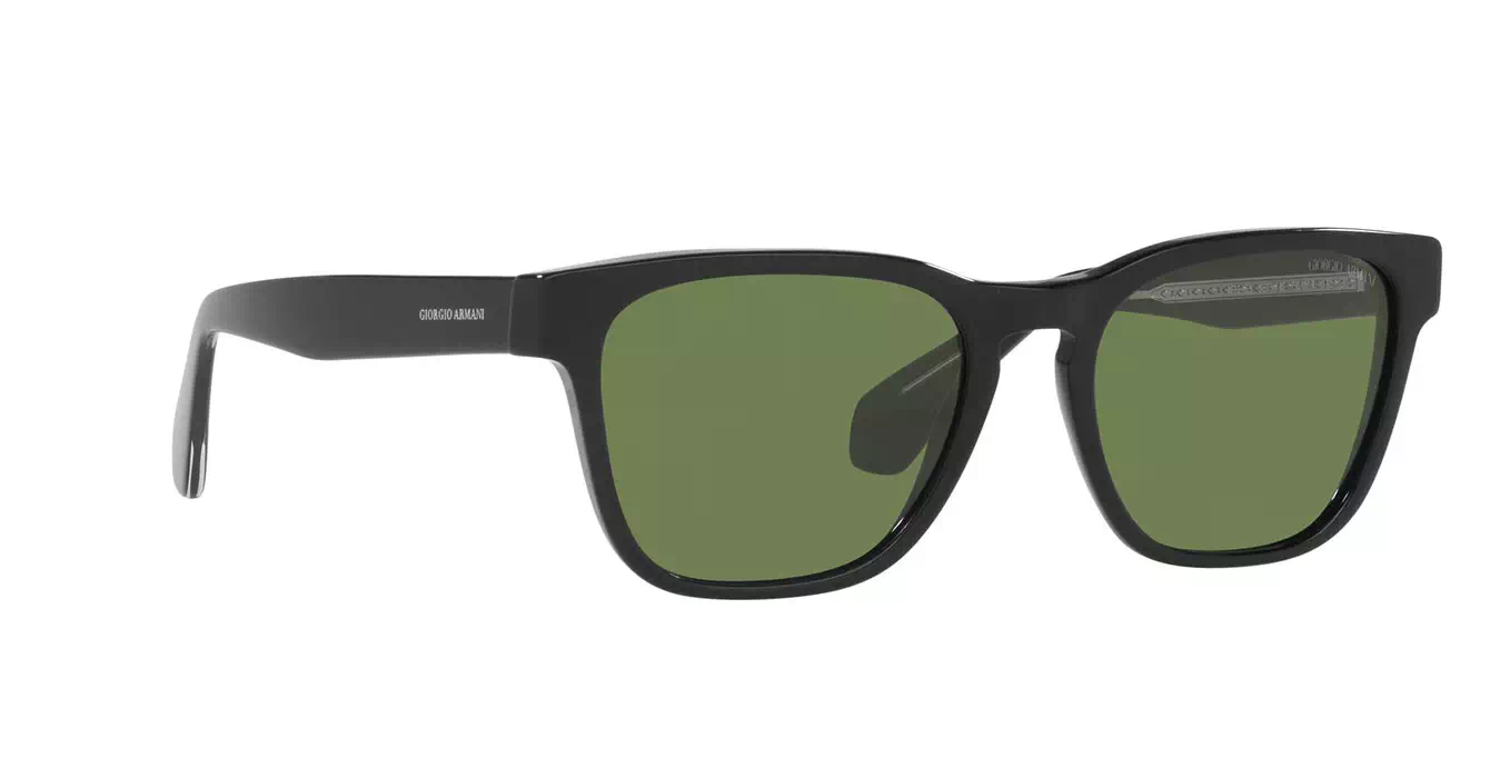 Giorgio Armani AR8155-F 5875/4E s56