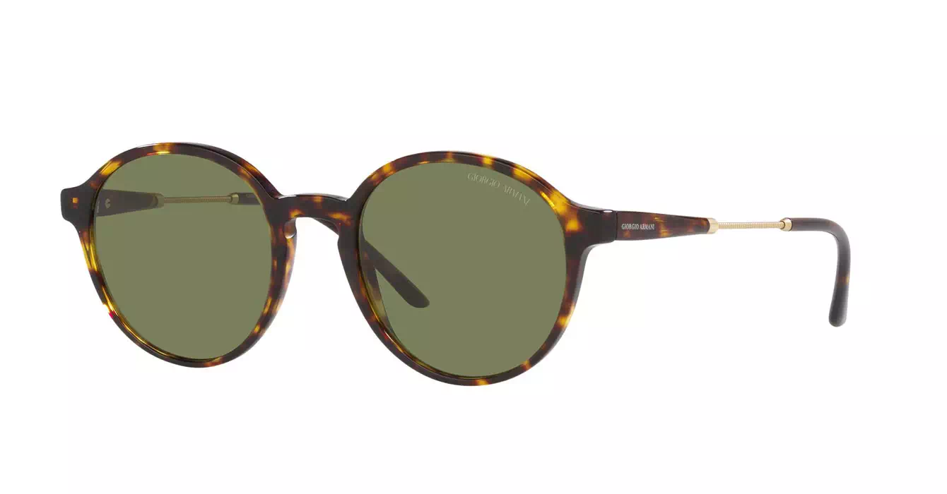 Giorgio Armani AR8160-F 5026/2A s51