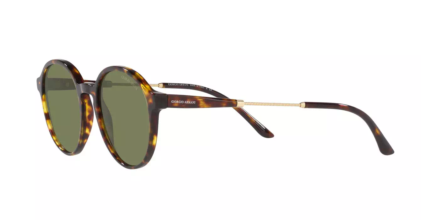 Giorgio Armani AR8160-F 5026/2A s51