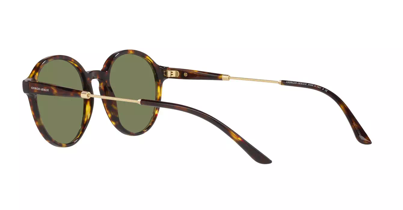 Giorgio Armani AR8160-F 5026/2A s51