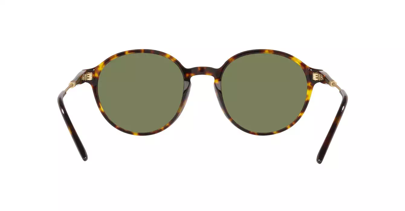 Giorgio Armani AR8160-F 5026/2A s51