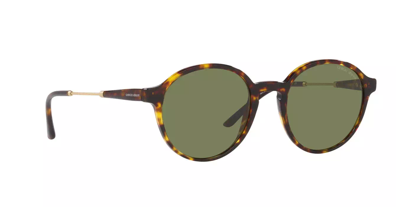 Giorgio Armani AR8160-F 5026/2A s51