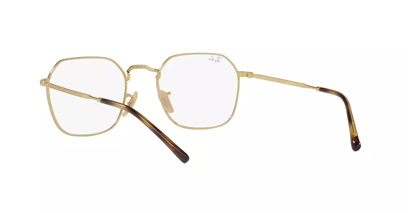 Ray-Ban RB3694V 2500 s53