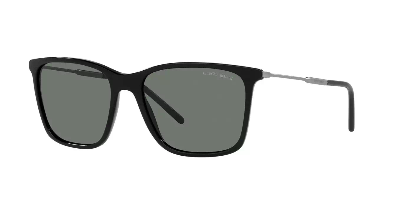 Giorgio Armani AR8176-F 5017/87 s57