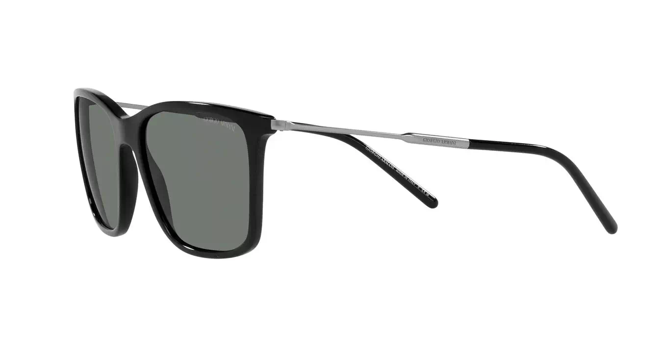 Giorgio Armani AR8176-F 5017/87 s57