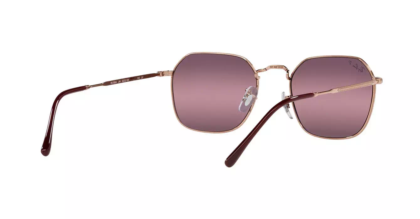 Ray-Ban RB3694 9202/G9 s55