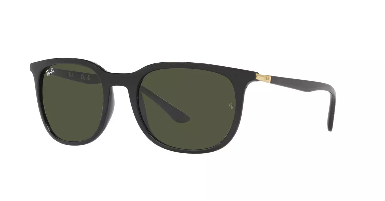 Ray-Ban RB4386F 601/31 s55