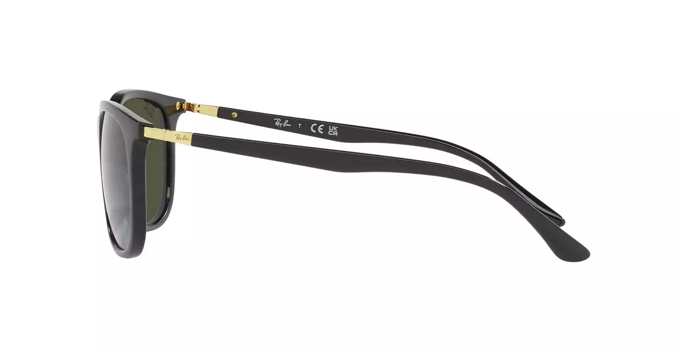 Ray-Ban RB4386F 601/31 s55