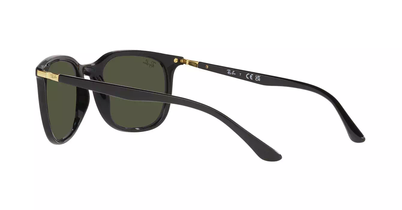 Ray-Ban RB4386F 601/31 s55