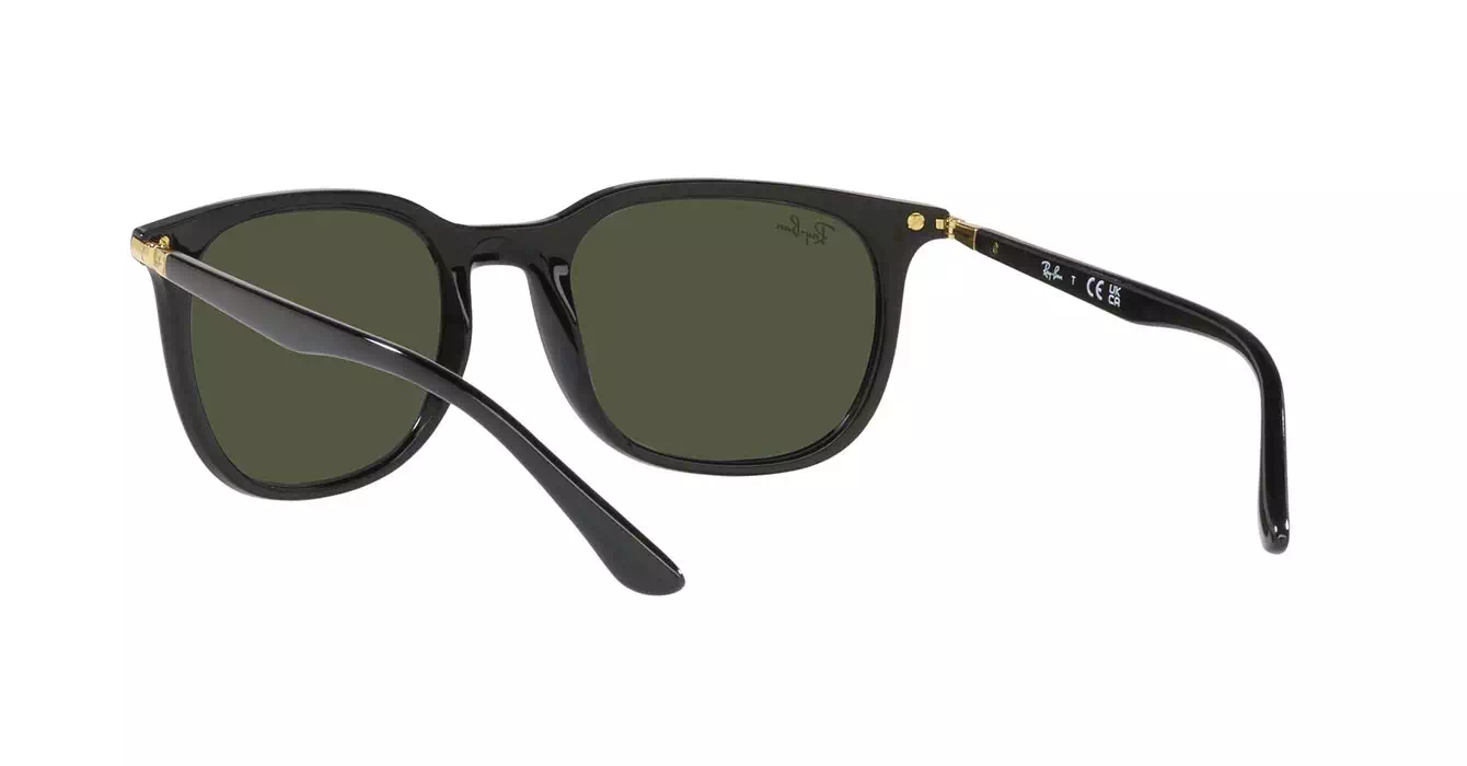 Ray-Ban RB4386F 601/31 s55